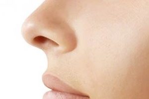 women nose stock image