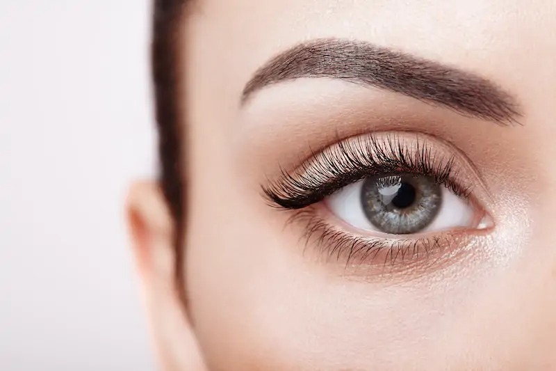 Female Eye with Extreme Long False Eyelashes stock image