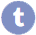 Tumblr Icon