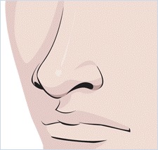 nose sketch image